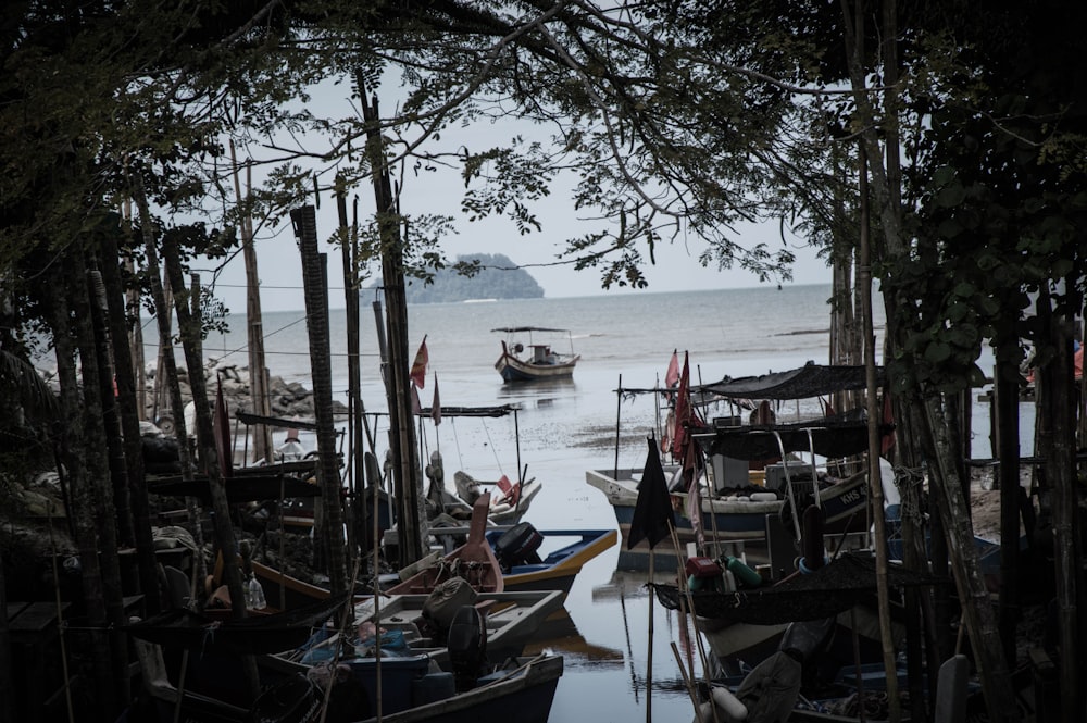 wooden boats docked by the forest