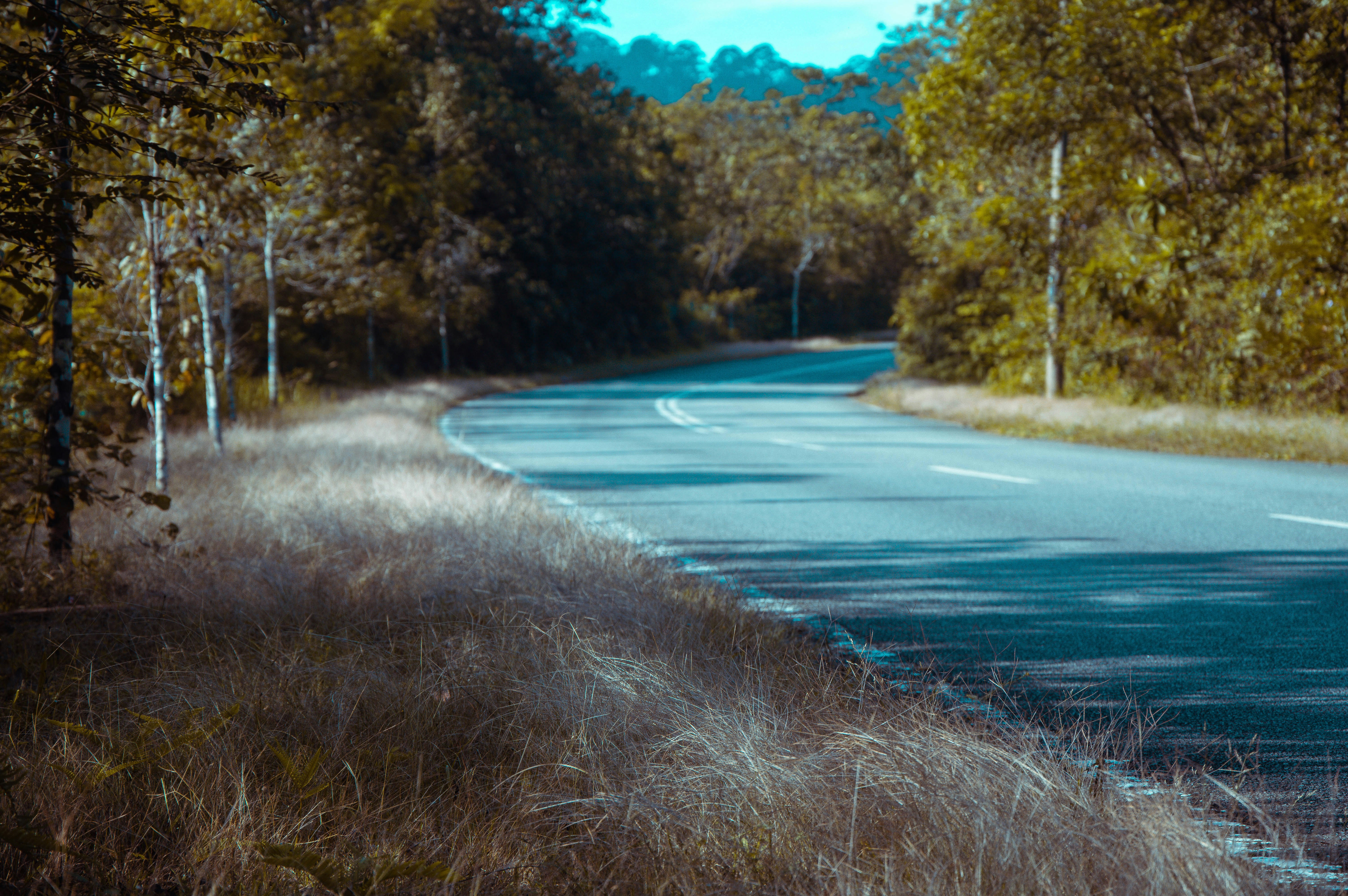 Photo by shaifulnizam