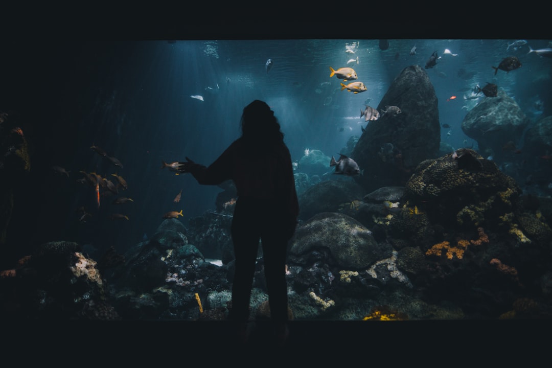 woman facing large aquarium