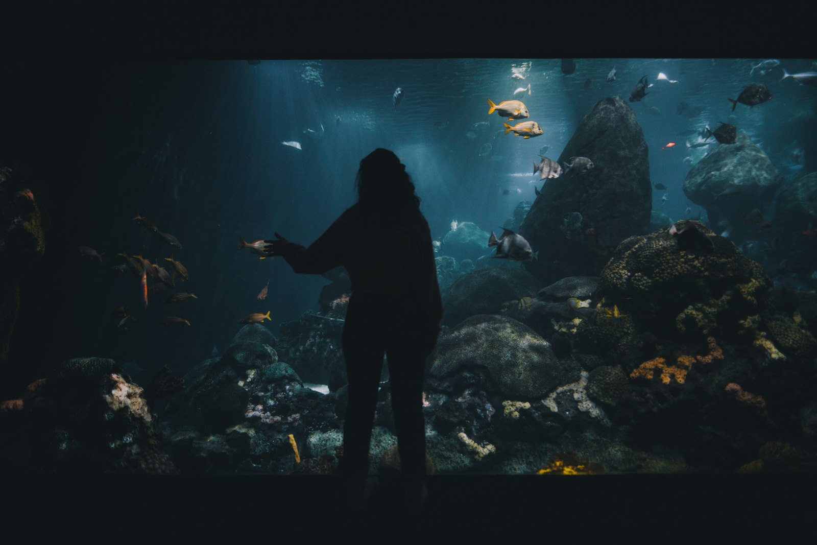 Sigma 20mm F1.4 DG HSM Art sample photo. Woman facing large aquarium photography