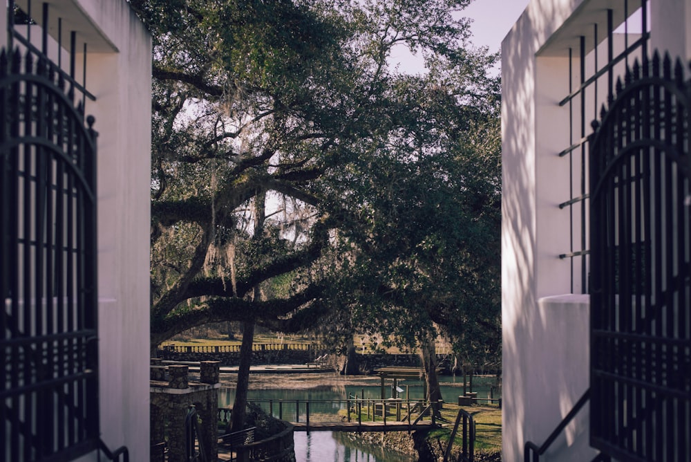 body of water near house surrounded with trees