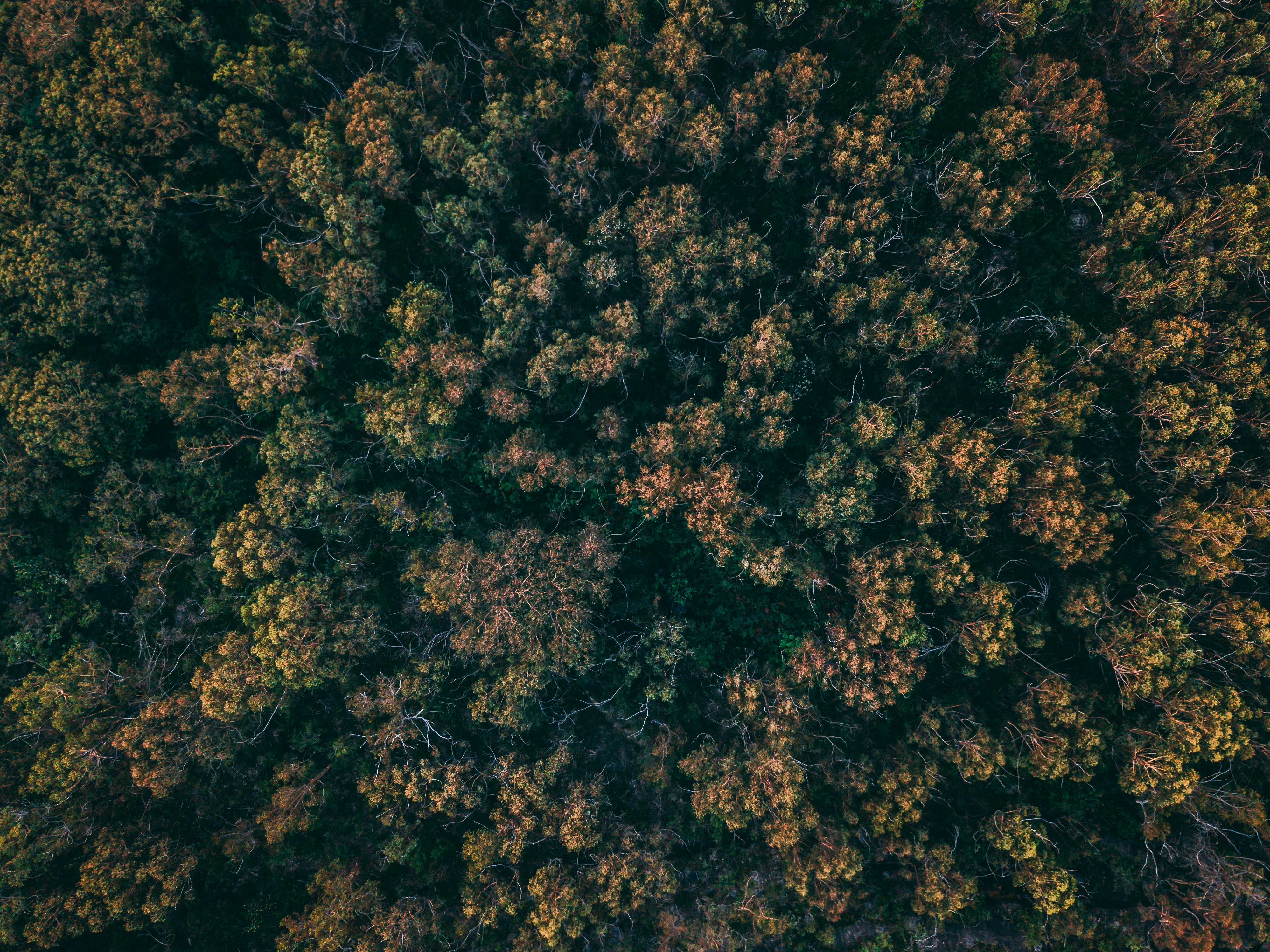 Photo by kieranosborn