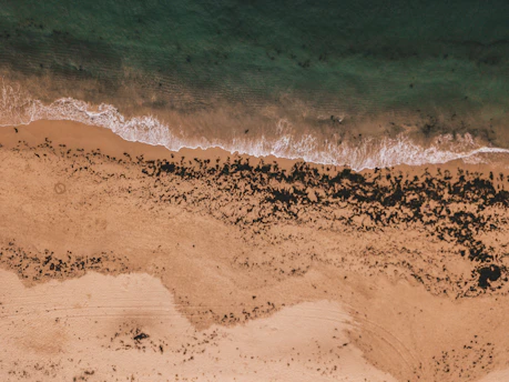 aerial photography of seashore