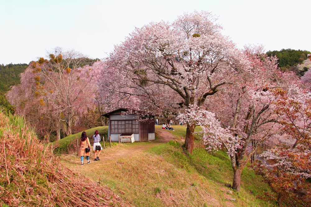 two women walking going on house