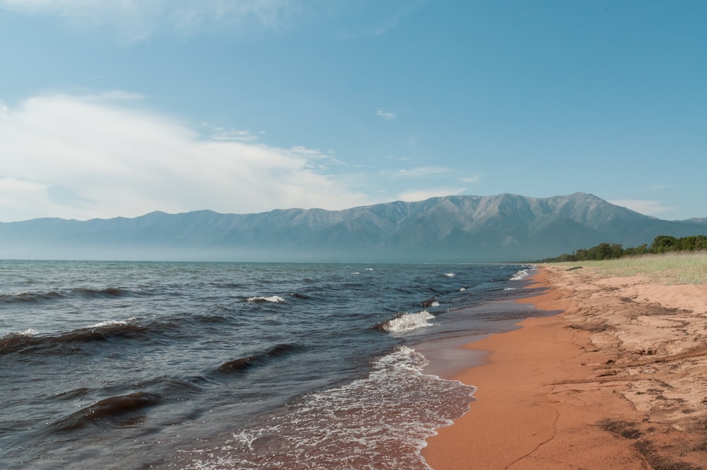 seashore during daytime