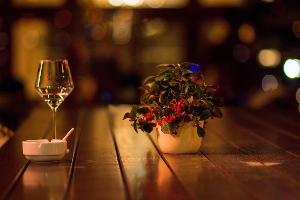 wine glass near flower in white pot