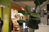 Beautiful green plants and flowers creating a fresh atmosphere at a busy shopping center.