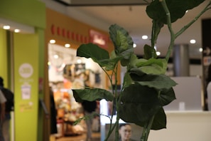 Beautiful green plants and flowers creating a fresh atmosphere at a busy shopping center.