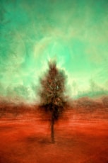 painting of brown tree