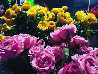A vibrant display of fresh roses arranged closely together. Pink roses are in the foreground, exhibiting lush and delicate petals, while yellow roses are visible in the background, contributing to a bright and cheerful composition. The flowers are partially lit by artificial light, creating a visually appealing contrast.