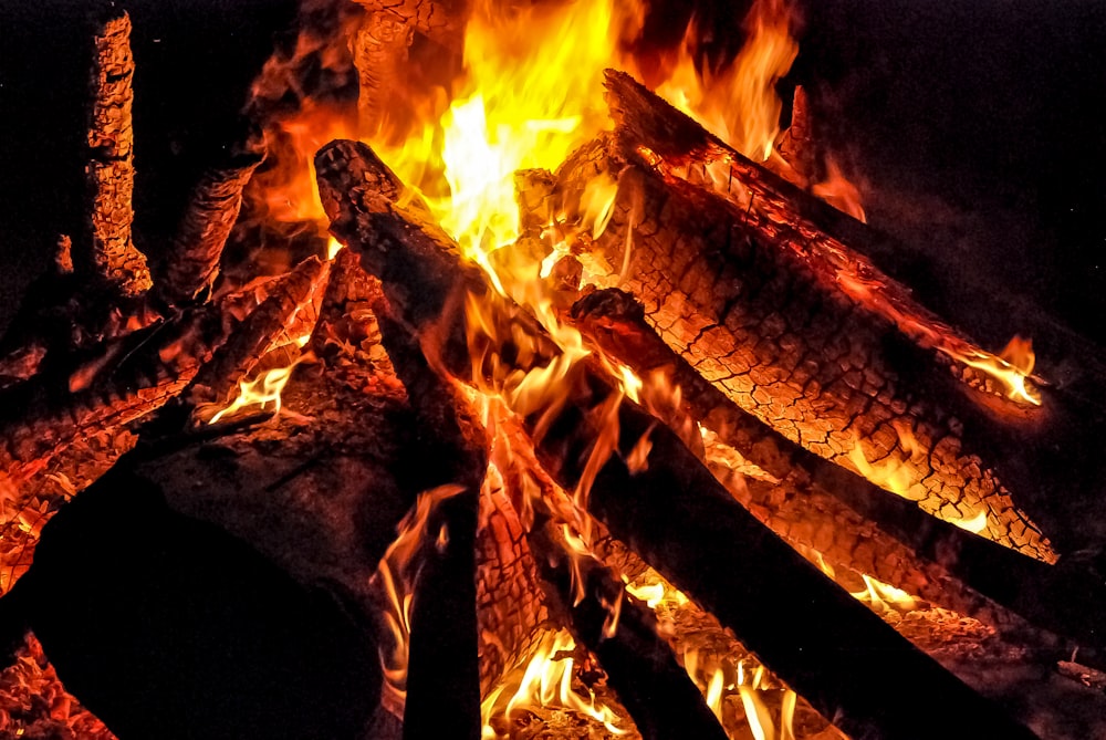 bonfire