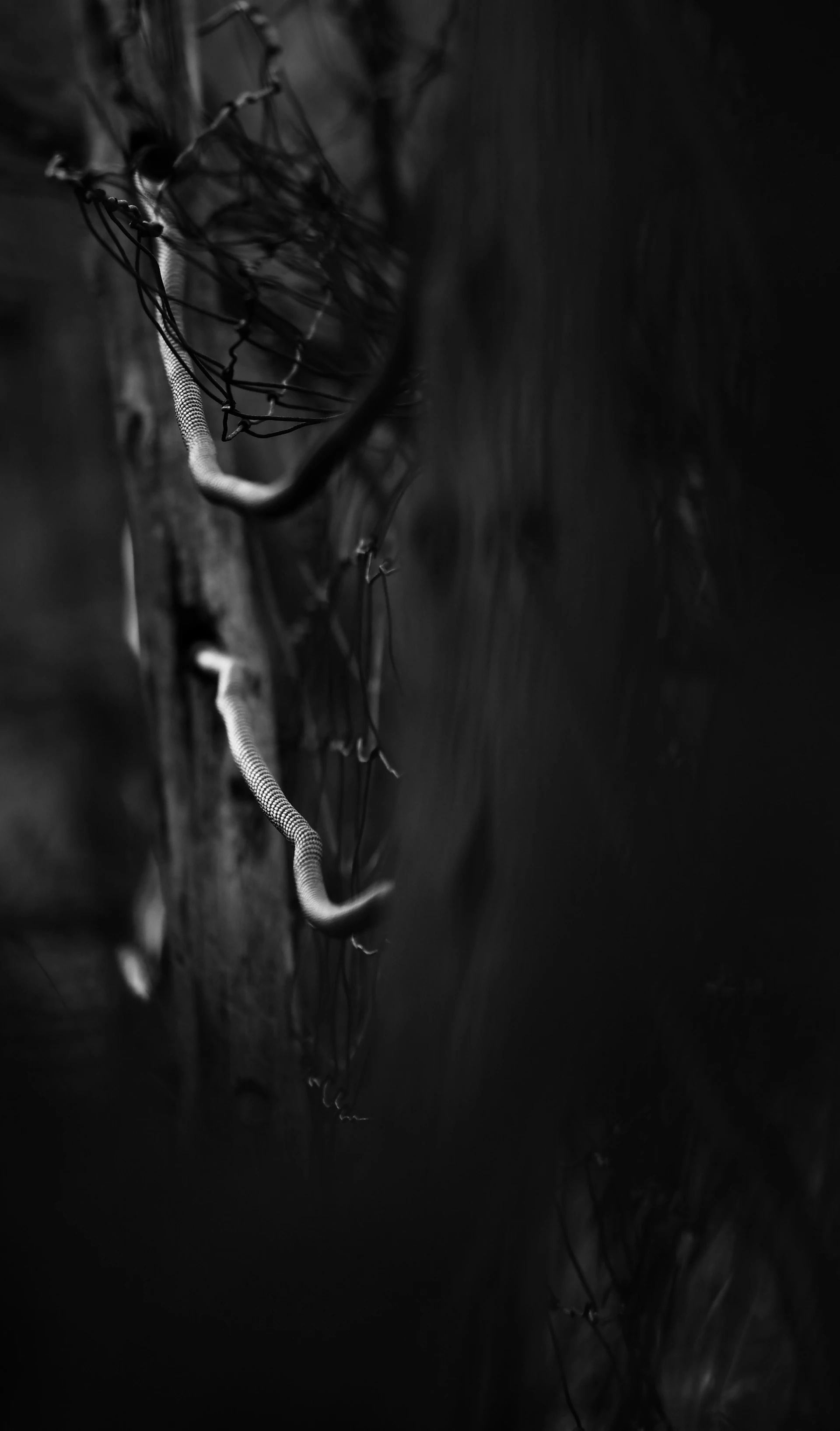 woman wearing yellow long-sleeved dress under white clouds and blue sky during daytime
