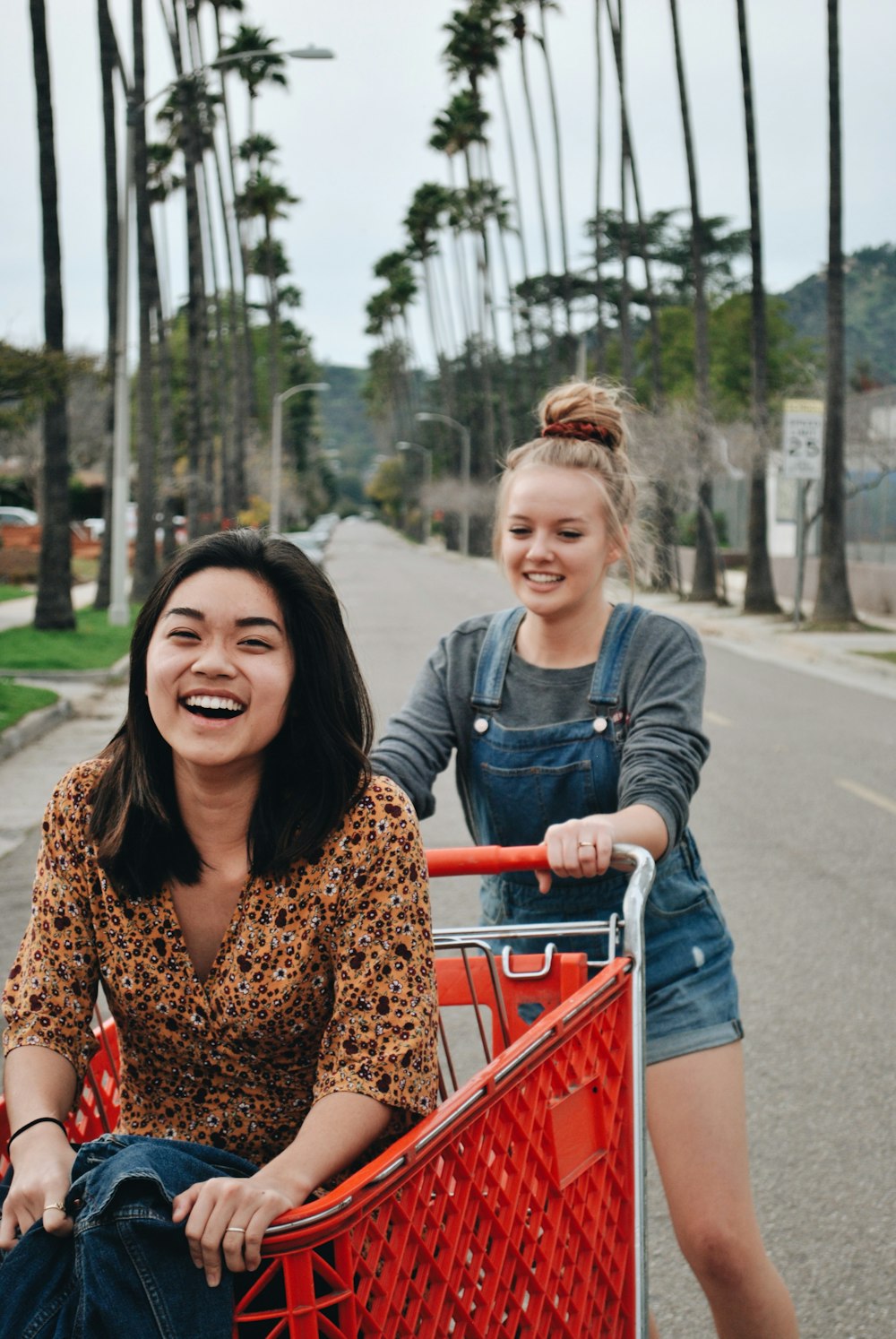 two women riding on shopping cart on road between trees during daytime
