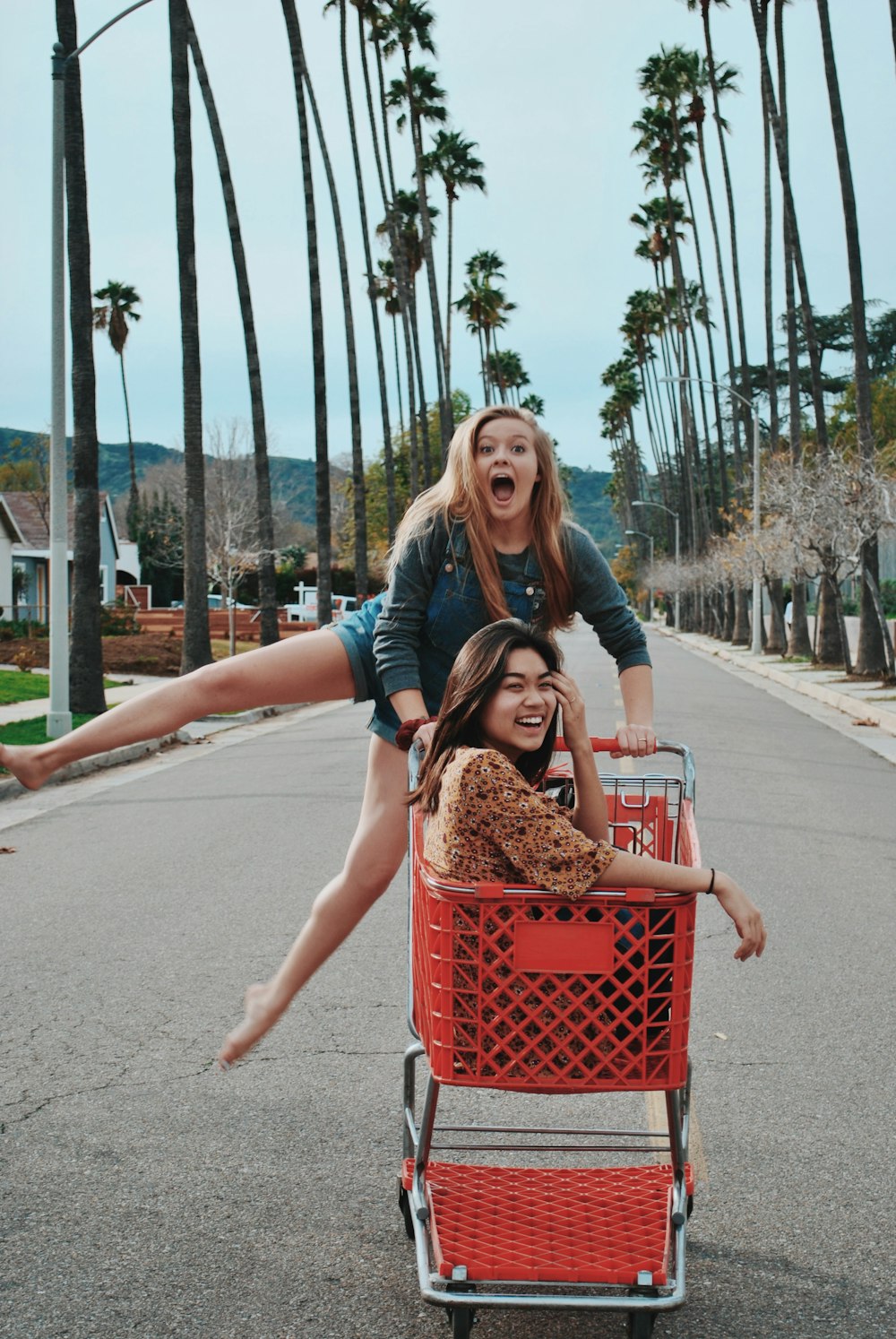 Zwei Frauen auf Einkaufswagen