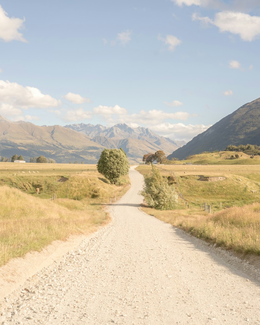 empty road in between grass field during daytime