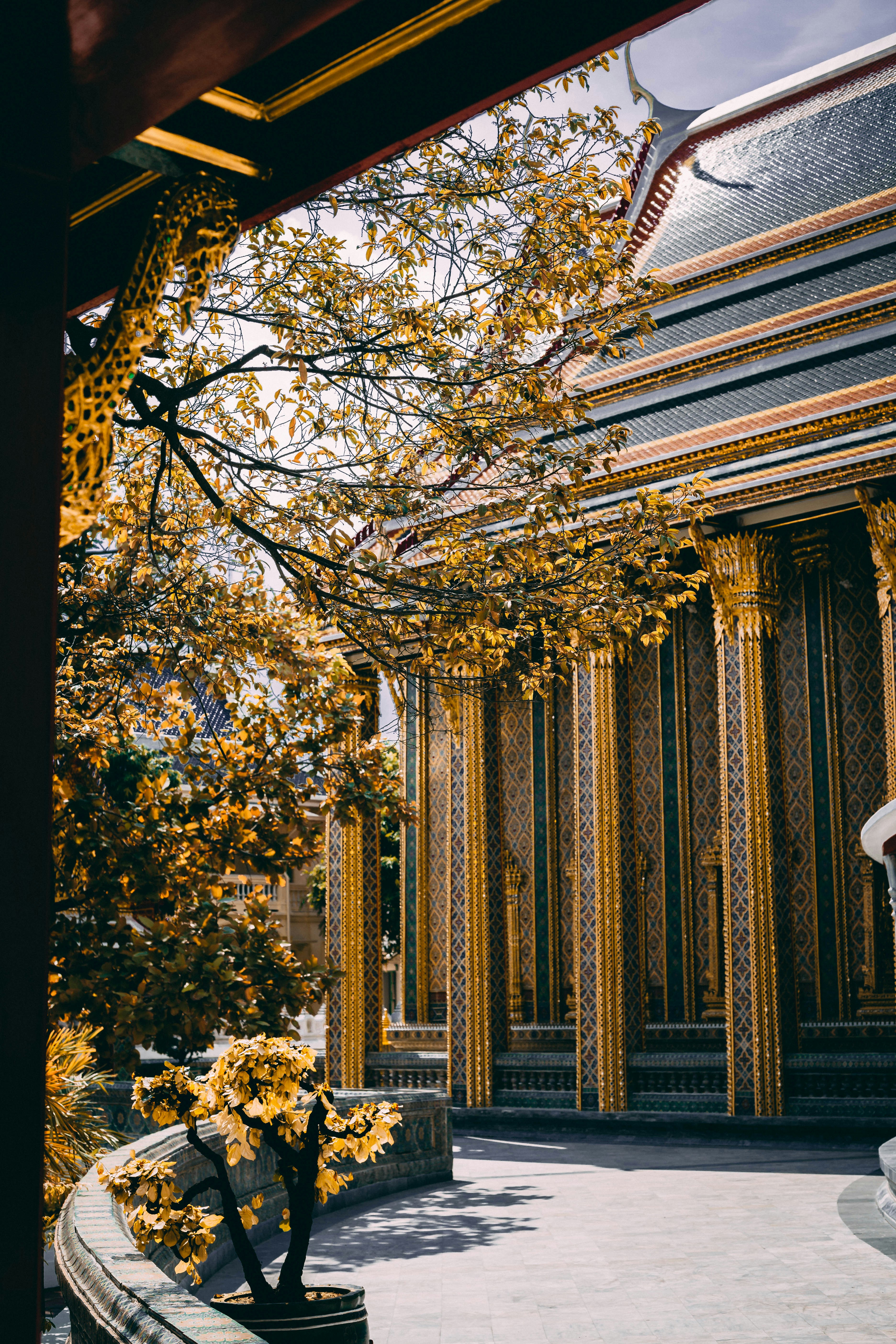 Photo by charlespostiaux