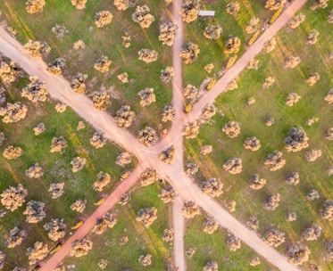 aerial view photography of road between green grass