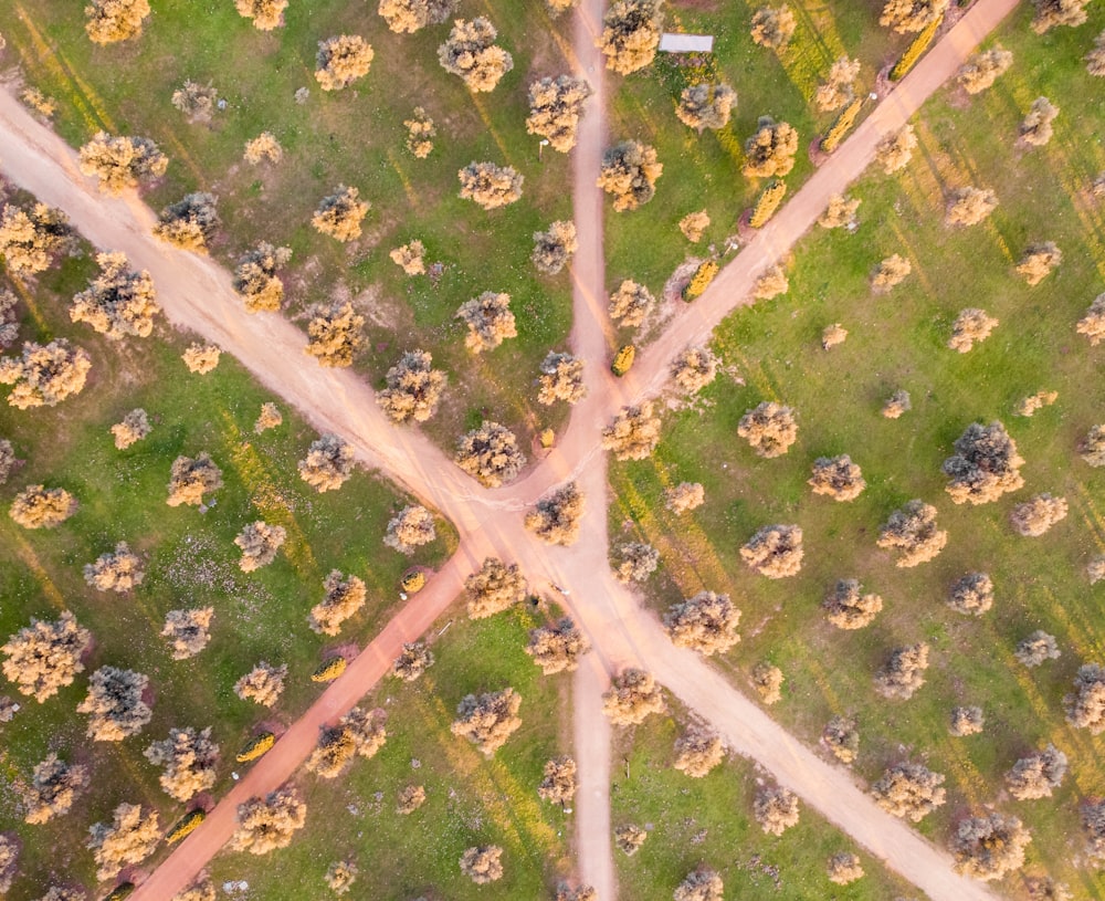 緑の芝生の間の道路の航空写真