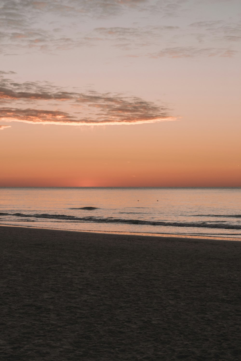 seashore under orange sky