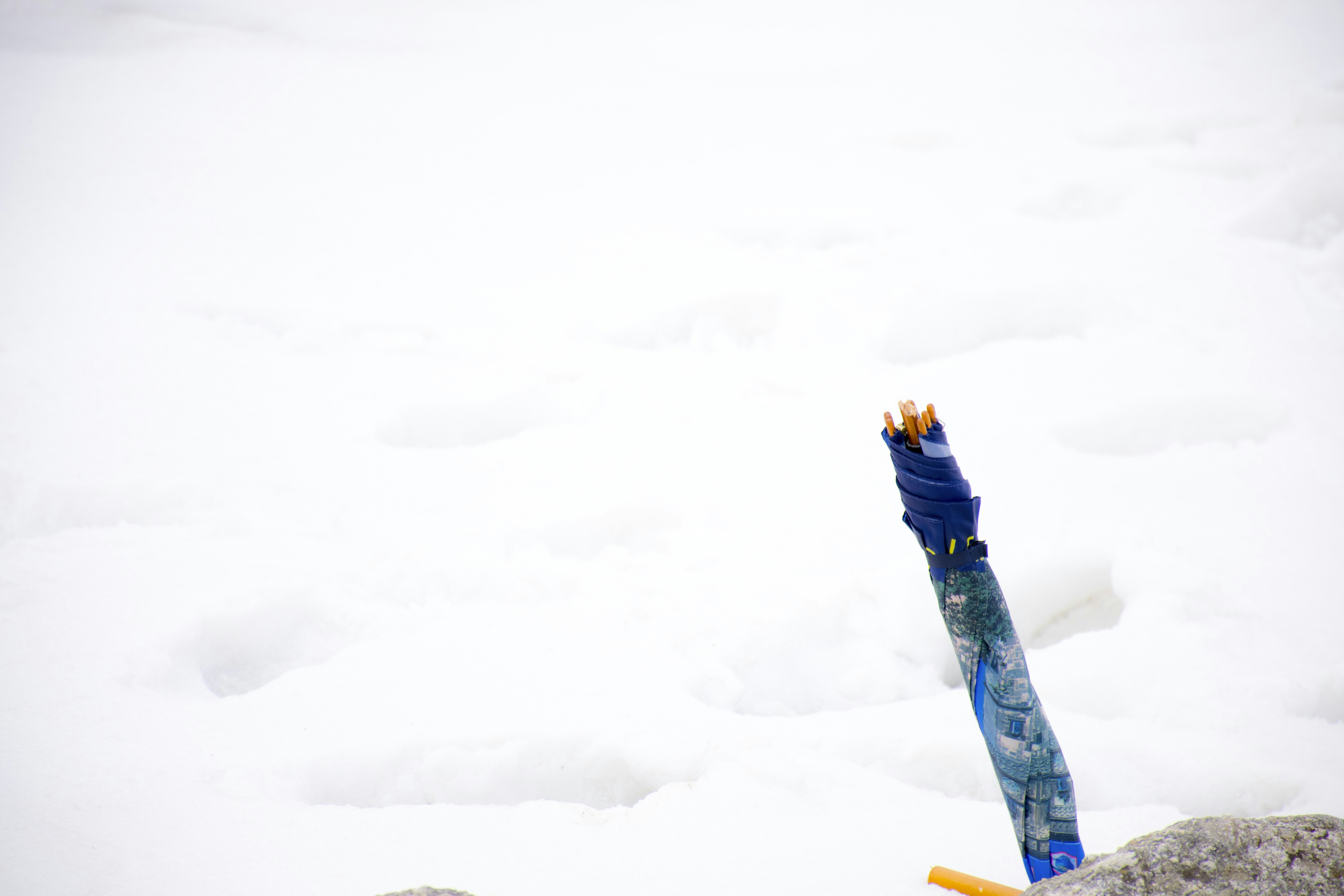 Photo by nishant_clicks