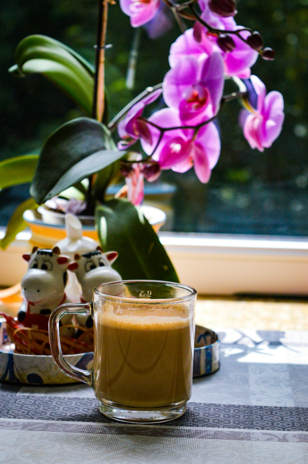 clear glass mug in front of purple orchid flowers