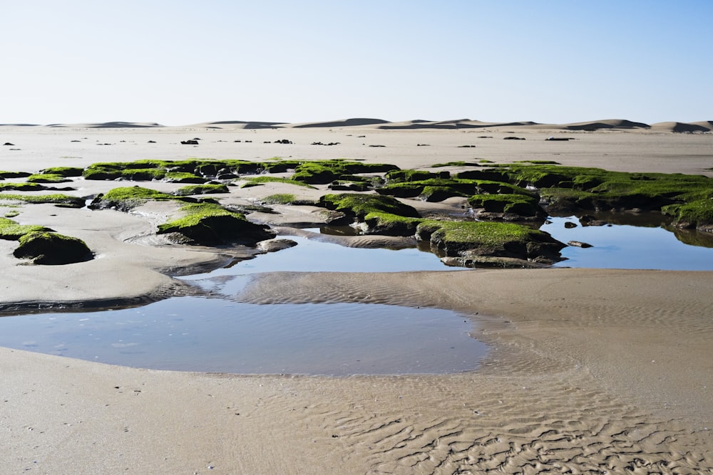 corpo de água cercado por areia cinza sob céu azul claro