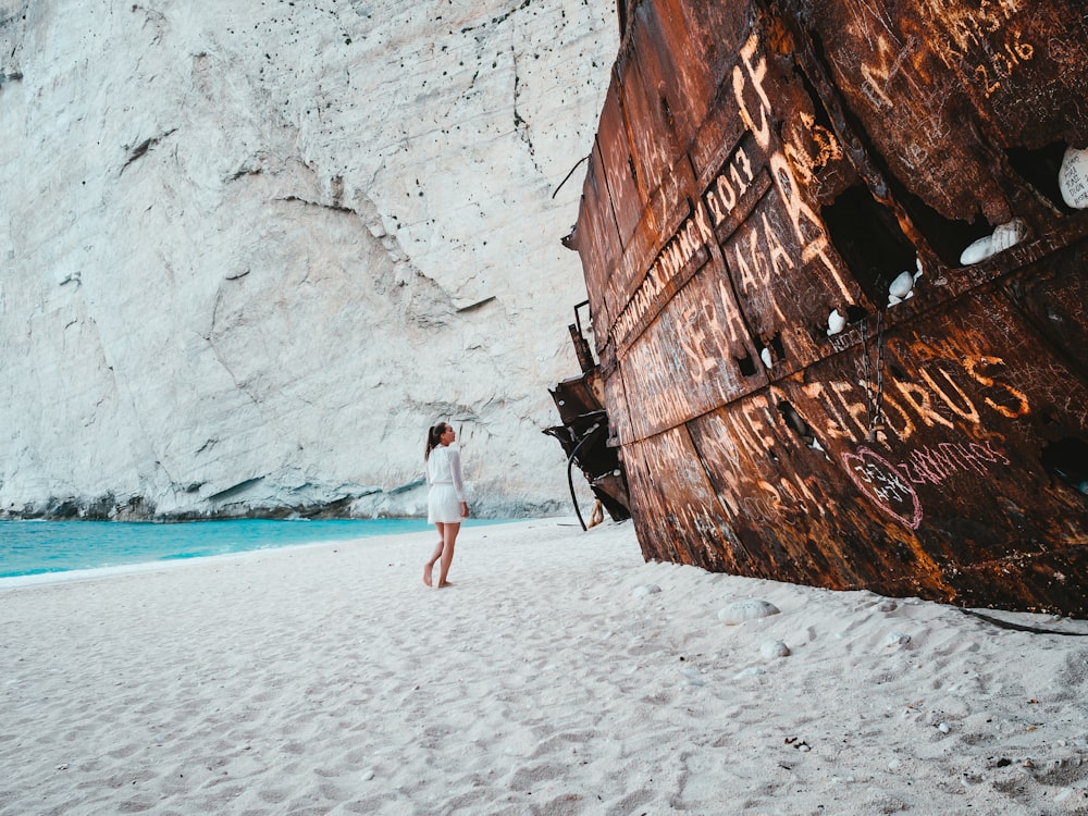 Donna in piedi vicino alla struttura metallica marrone in riva al mare