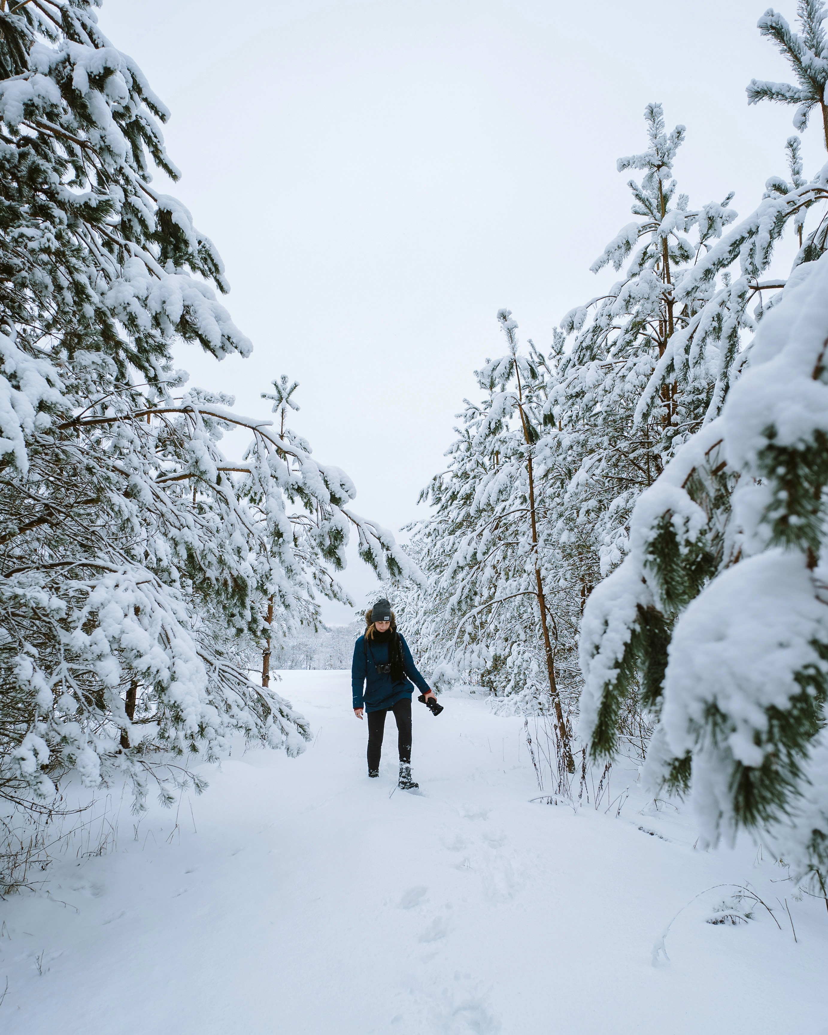 Person Walking On Snow In Between Snow Covered Pine Trees Photo Free Person Image On Unsplash