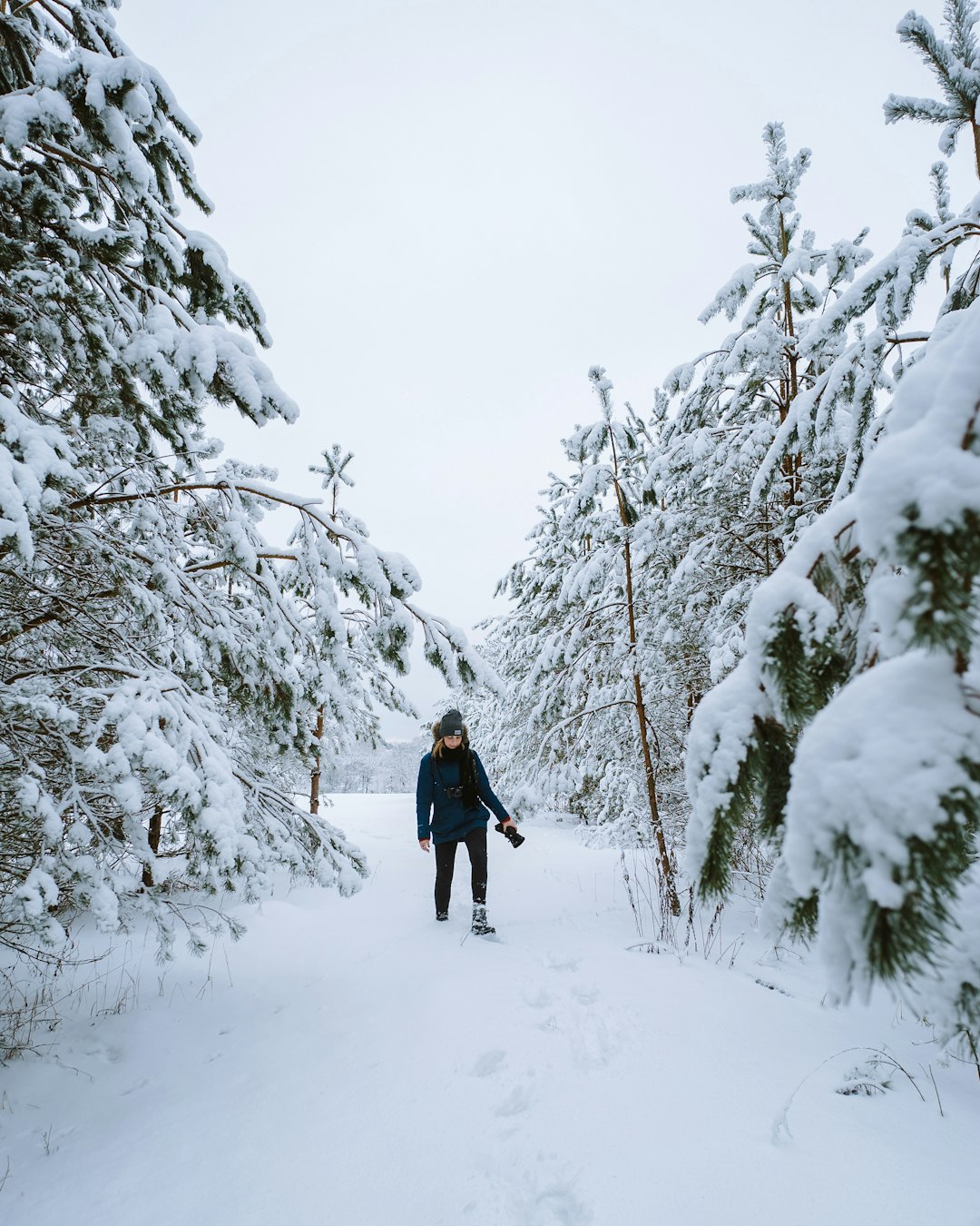 person walking on snow in between snow covered pine trees