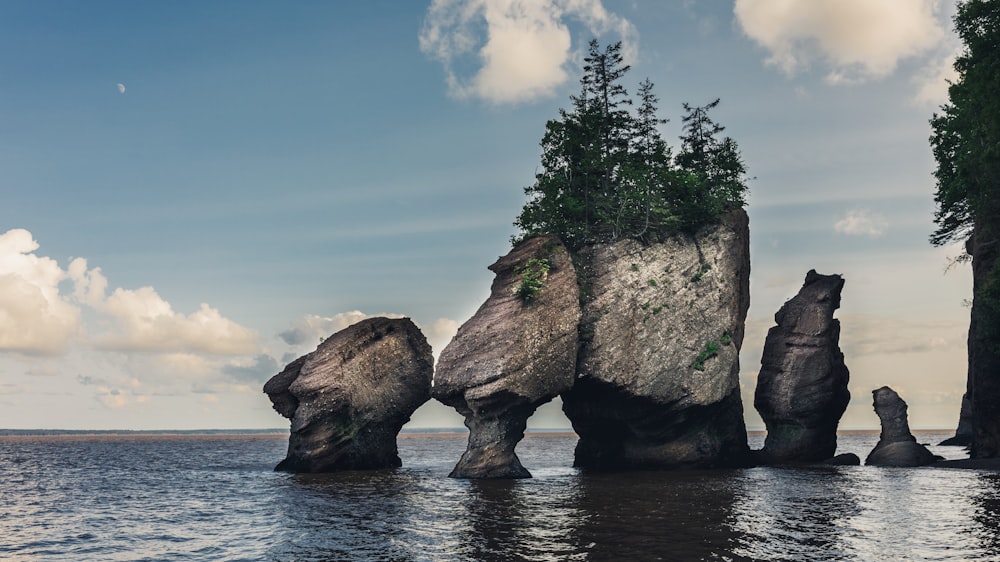 selective focus photography of rock formation