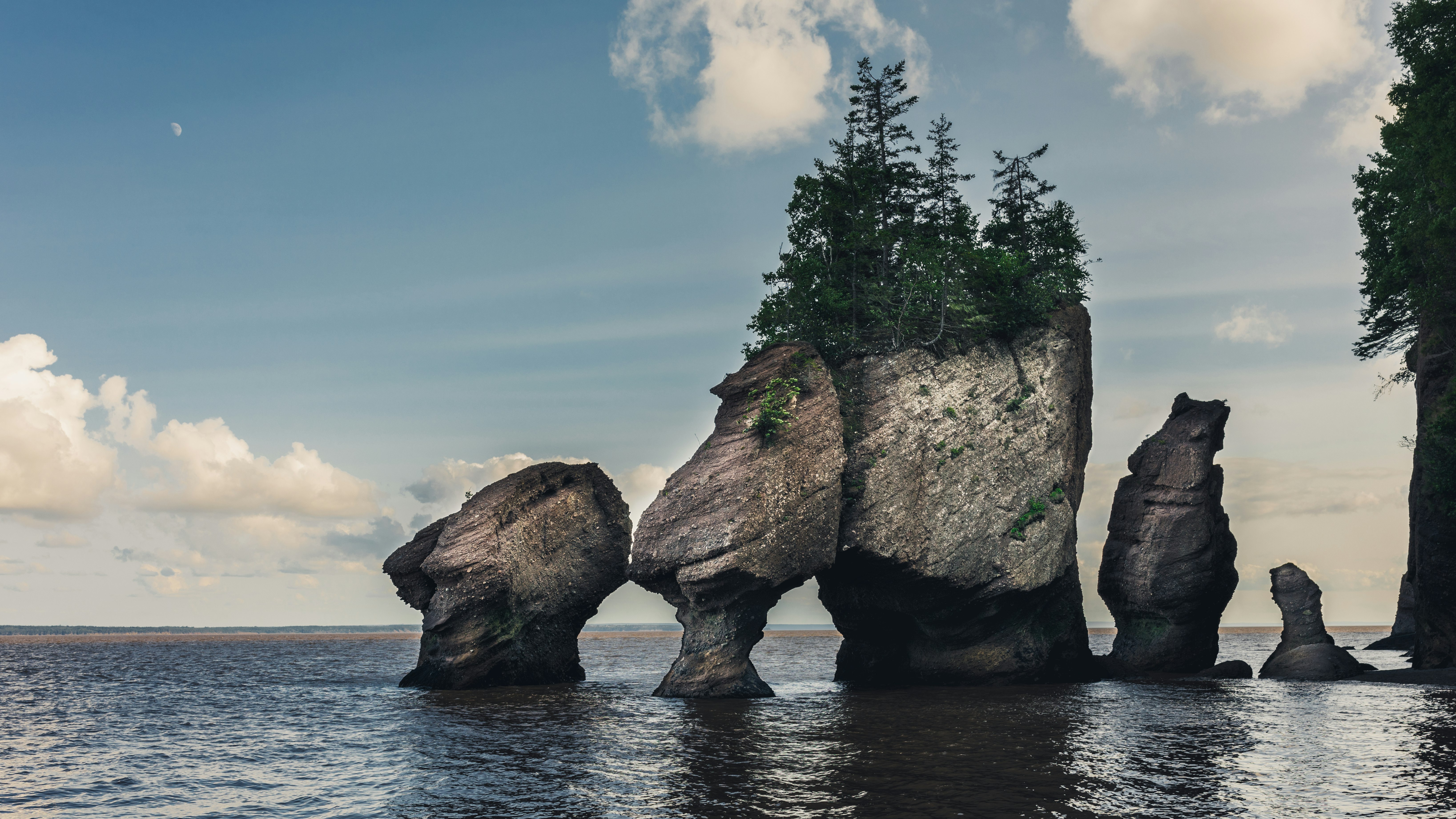 selective focus photography of rock formation