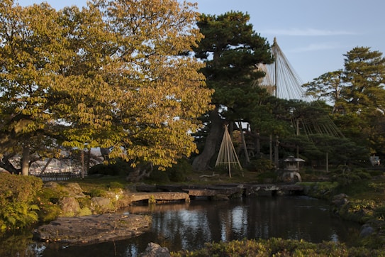 A tranquil Japanese garden with lush greenery and a serene pond reflecting the surrounding trees. Traditional structures resembling lanterns and a tree supported by ropes hint at careful garden design. The soft light casts gentle shadows, enhancing the peaceful atmosphere.