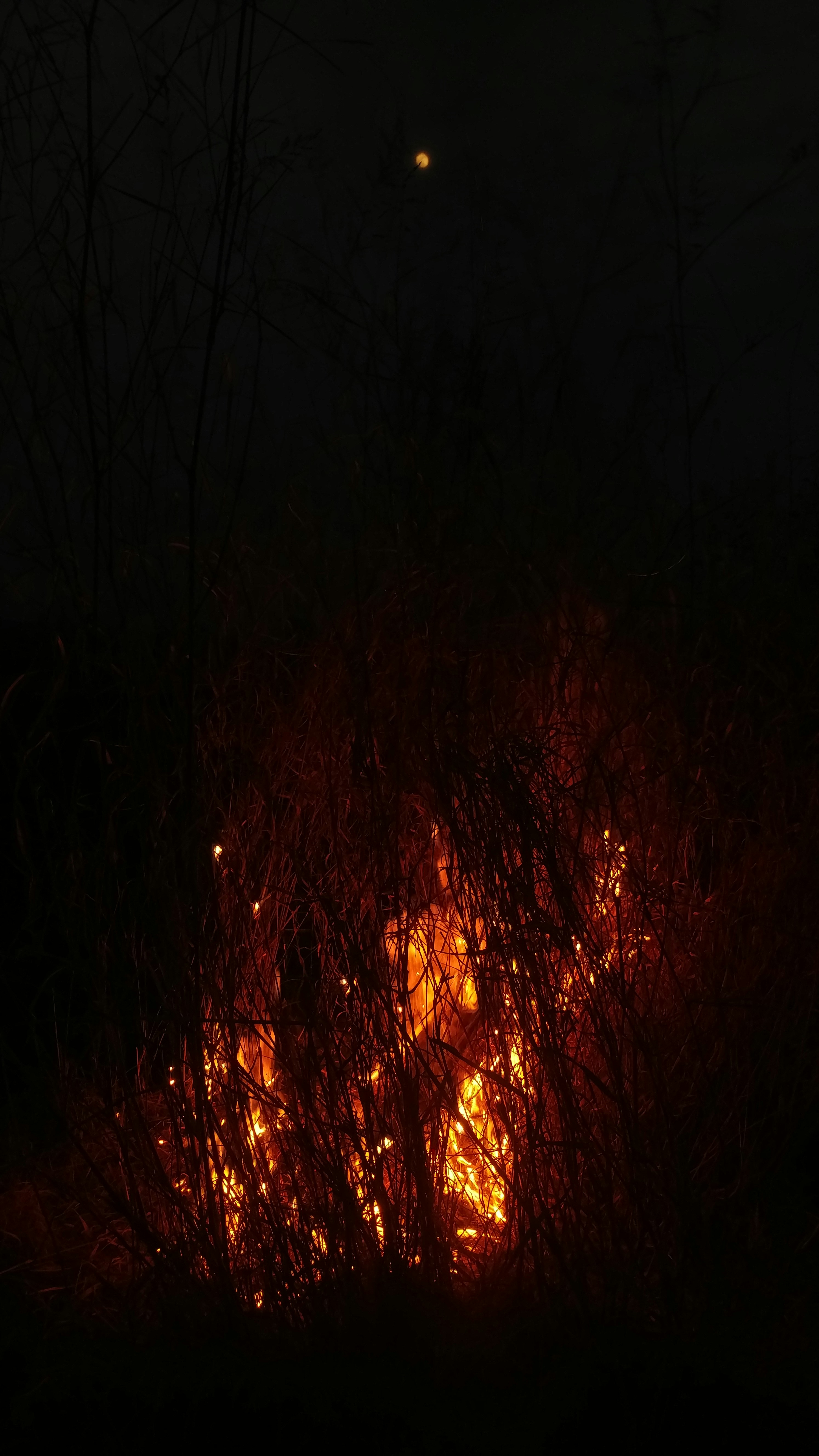 photo-1548166488-5585299cb4c4