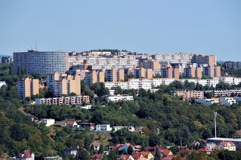 buildings near trees under blue sky during daytime