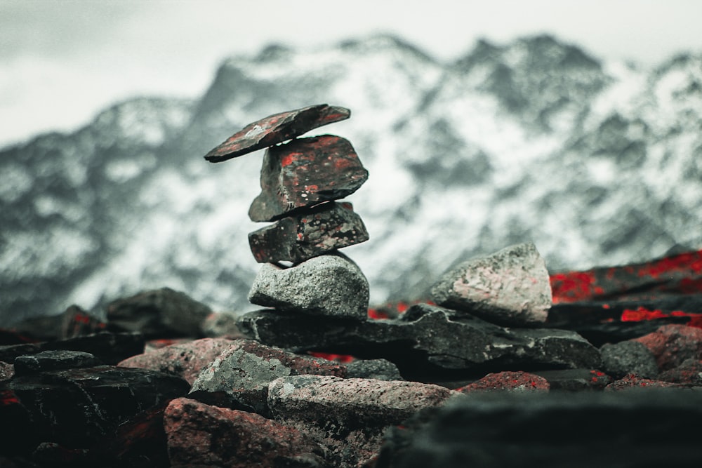 shallow focus photo of balance rocks