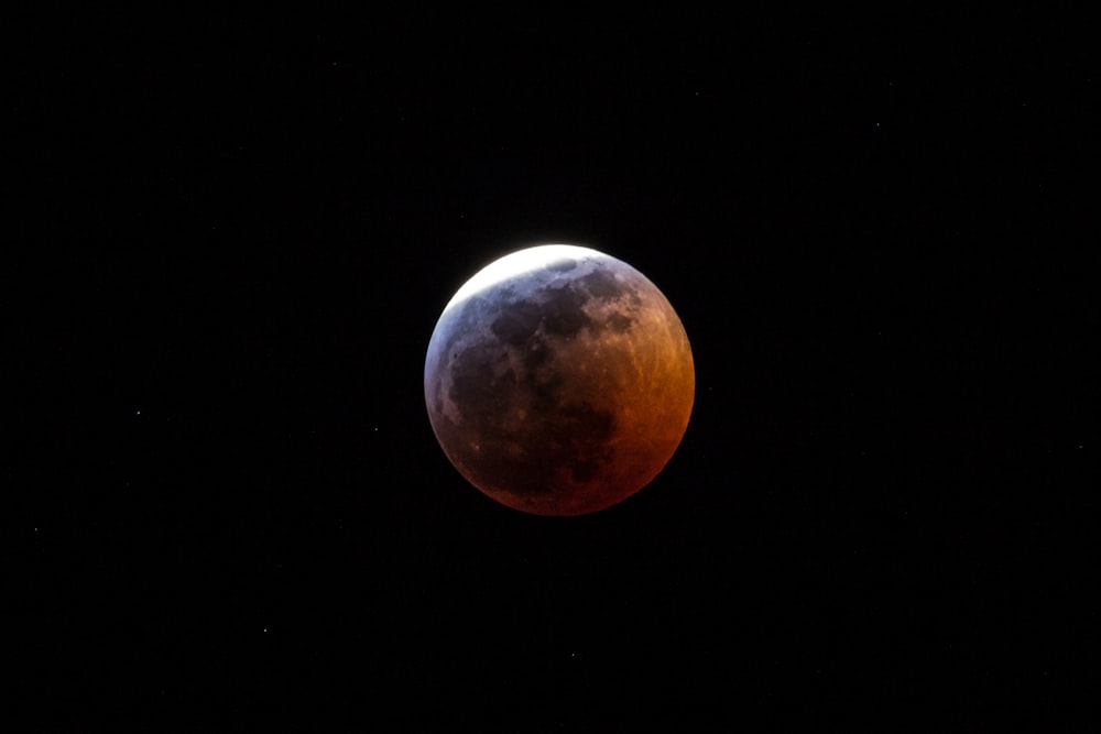 selective focus photography of full moon