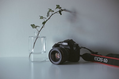 A still life composition featuring a Canon EOS 6D camera placed next to a clear glass vase holding a thin branch with green leaves. The setting is minimalistic with a soft, muted gray background, creating a calm and serene atmosphere.