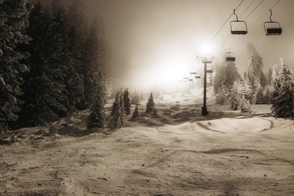 cable cart and trees