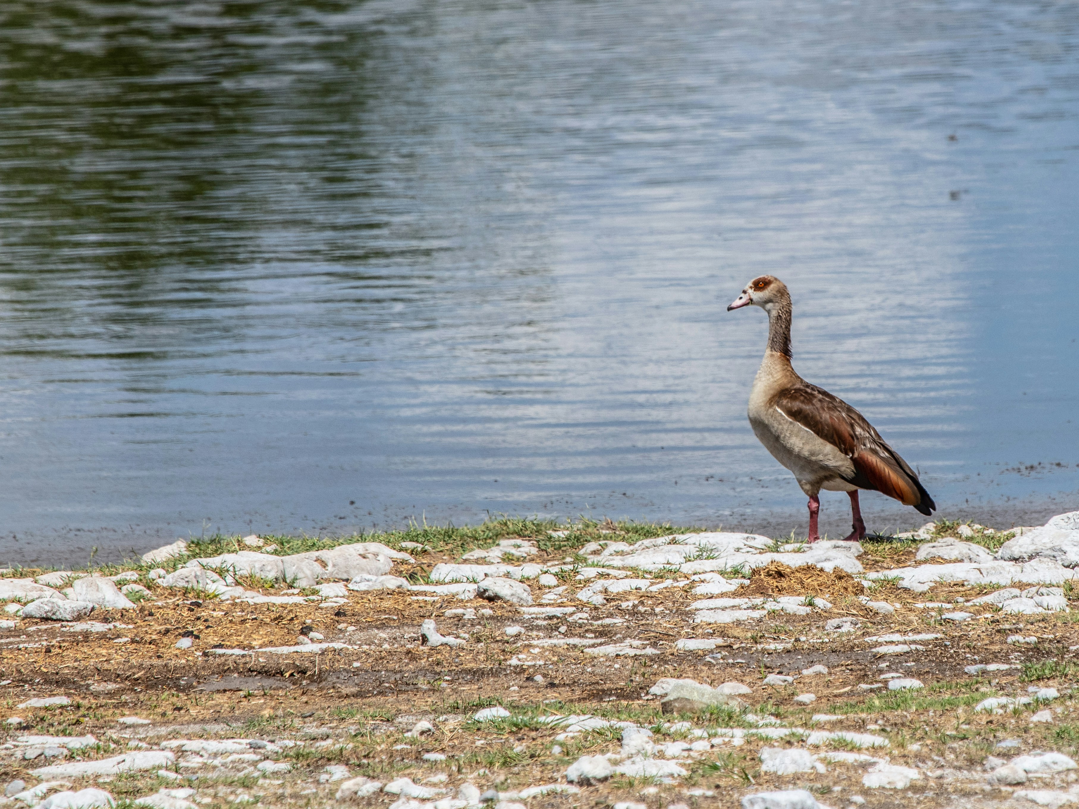 Photo by imedianamibia