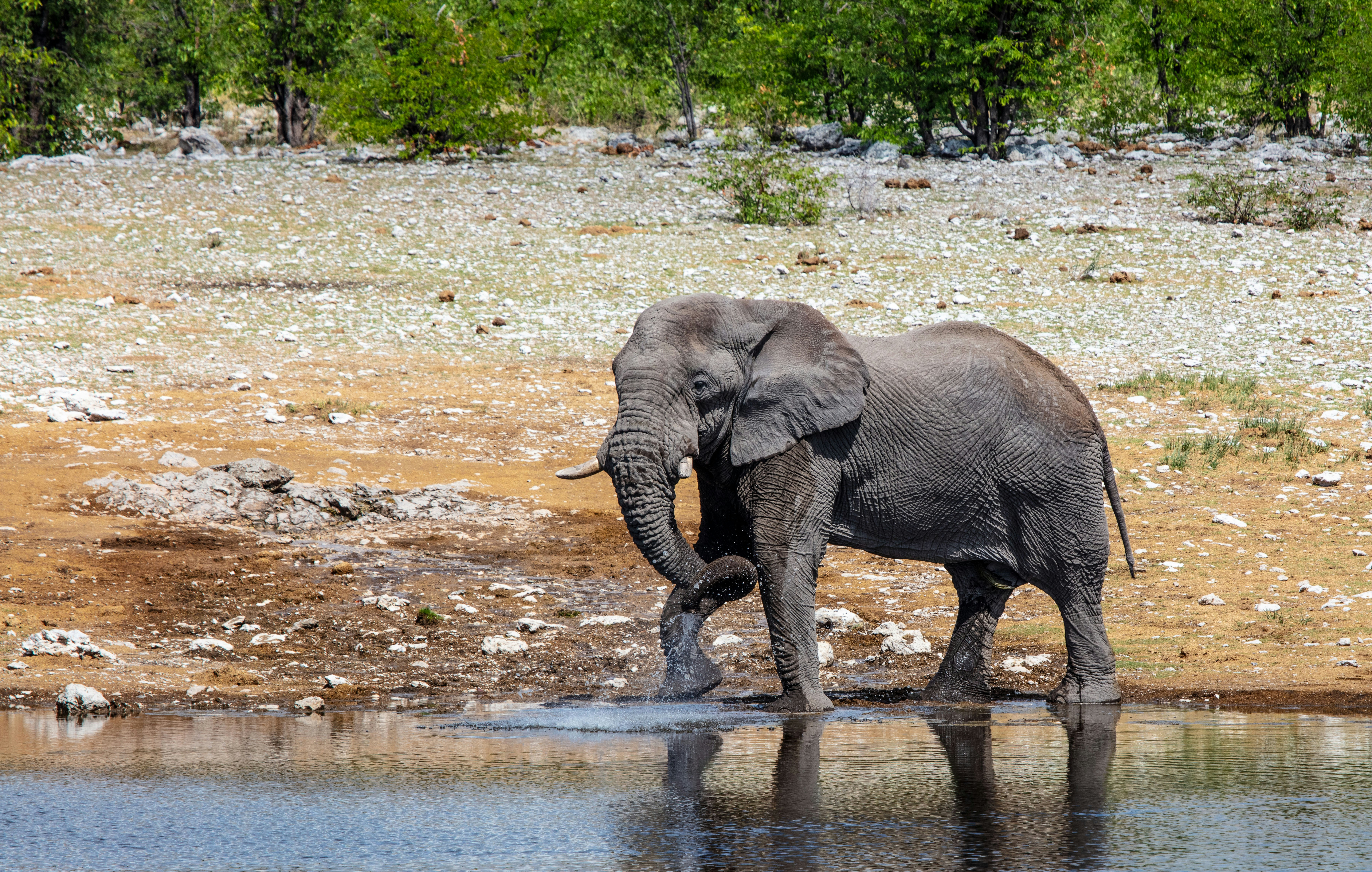 Photo by imedianamibia