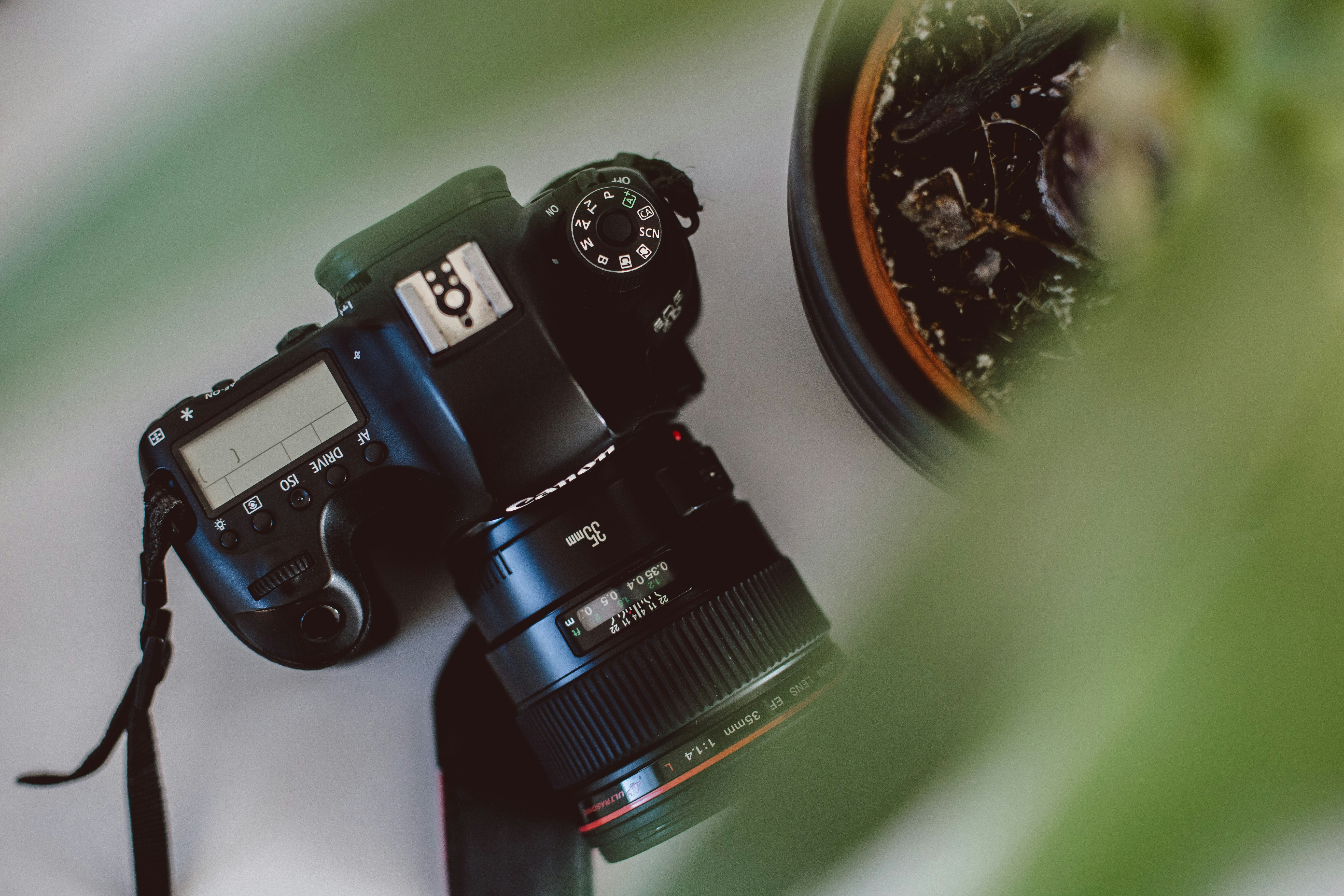 Photo by rumandraisin