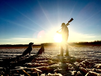 man standing holding rifle in front of dogs during daytime