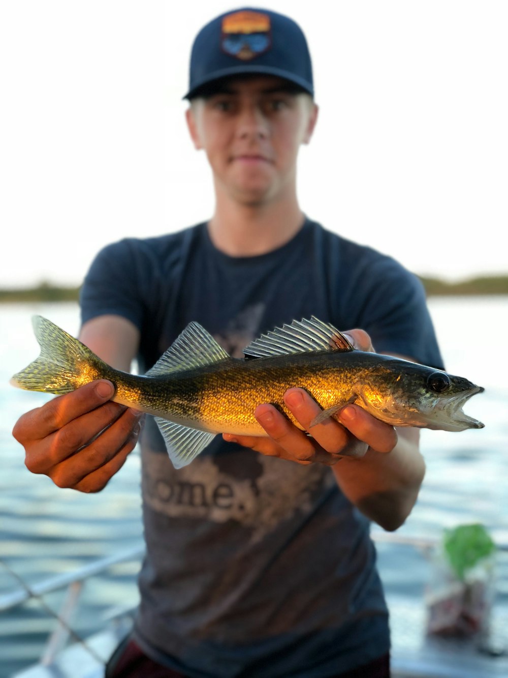 Person, die grauen Fisch hält