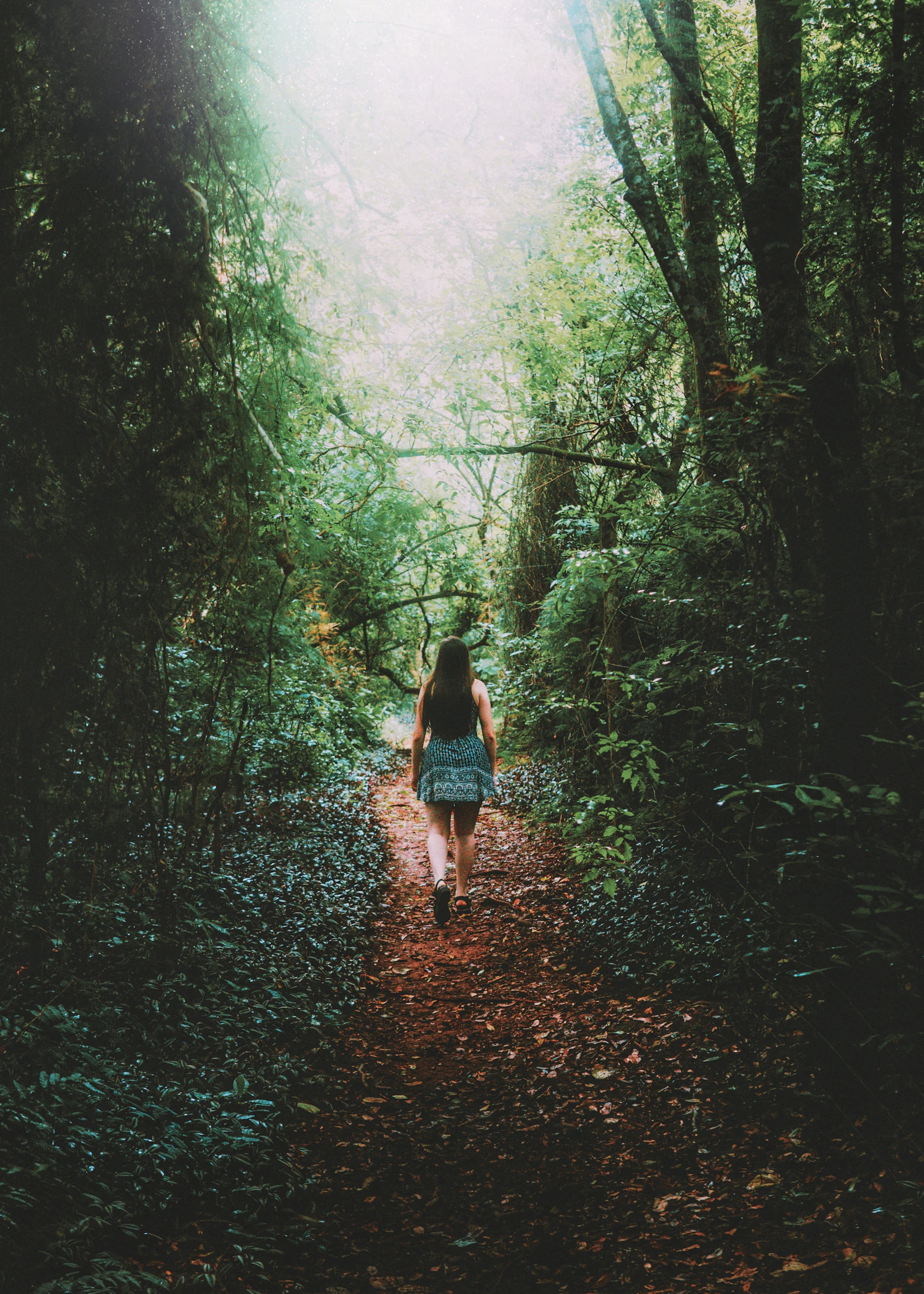 Frau geht auf einem grünen Waldweg als Symbol für den Rauchstopp nach 20 Jahren