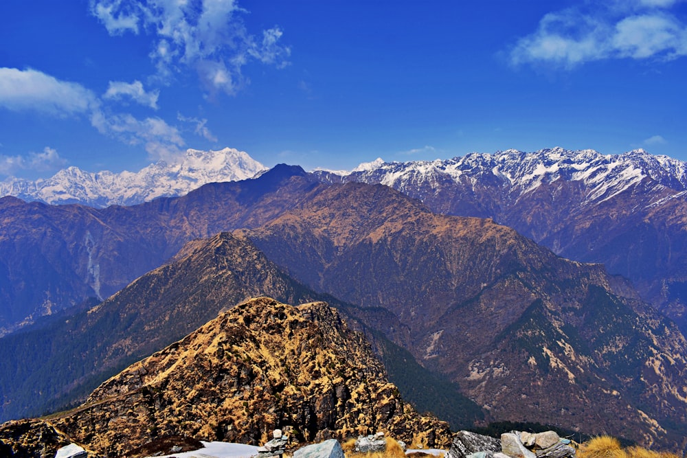 mountains and trees