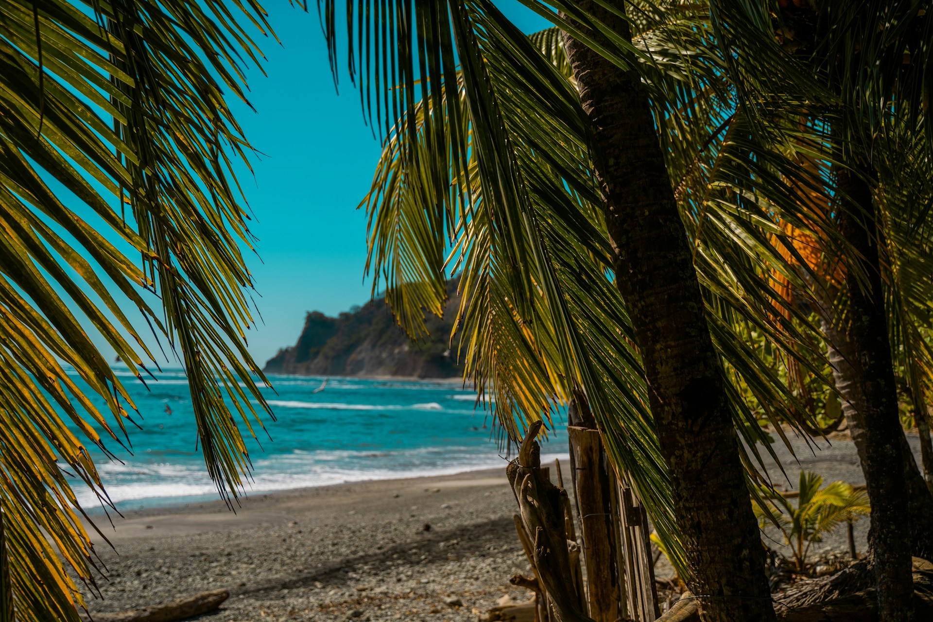 A panoramic view of the dramatic cliffs and turquoise waves at Uluwatu, framed by swaying palm trees under a golden afternoon sky.