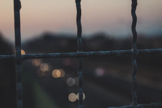 Close-up of security perimeter fencing with integrated sensors at dusk.