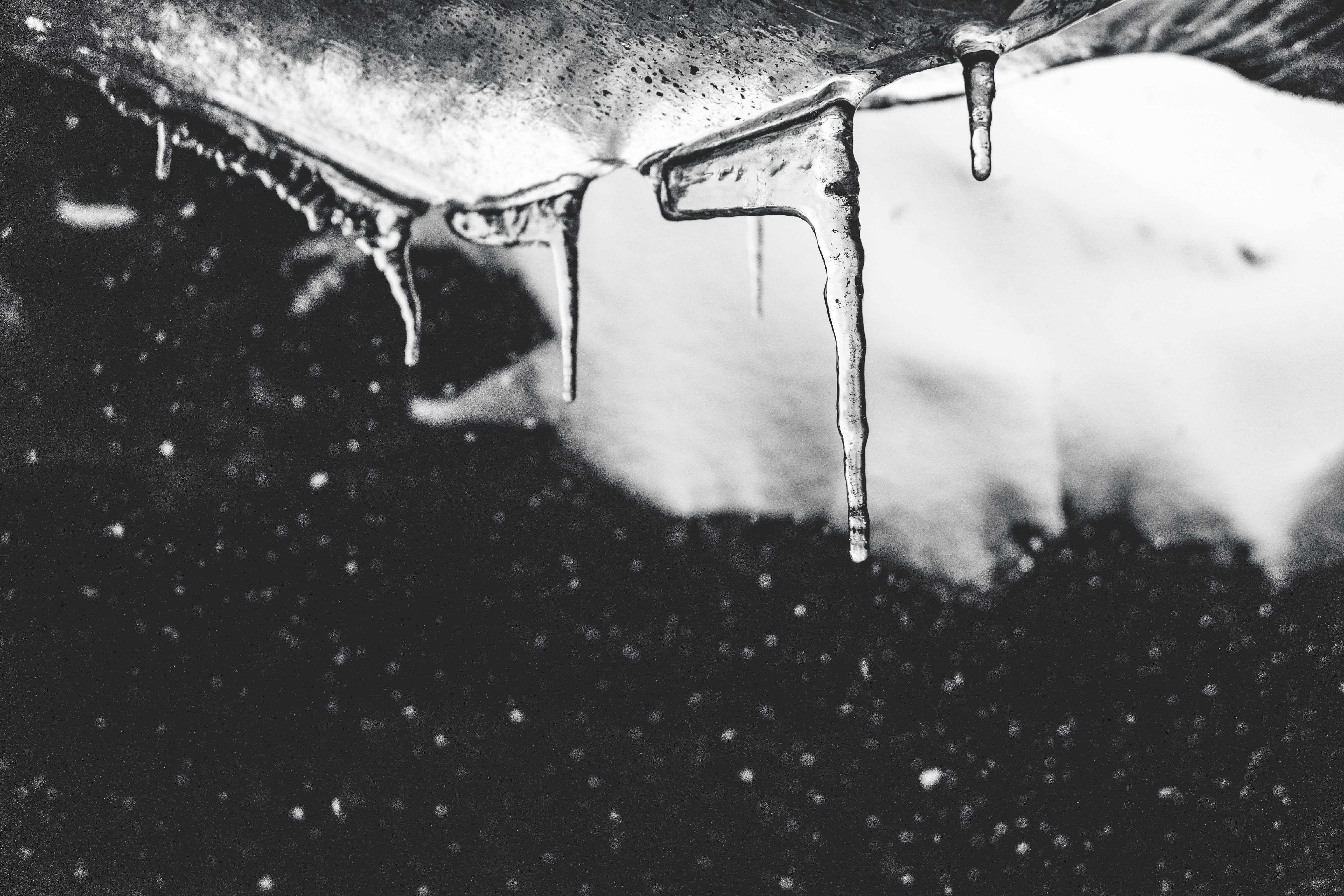 The Melt-Up No One Believes — Until It’s Too Late