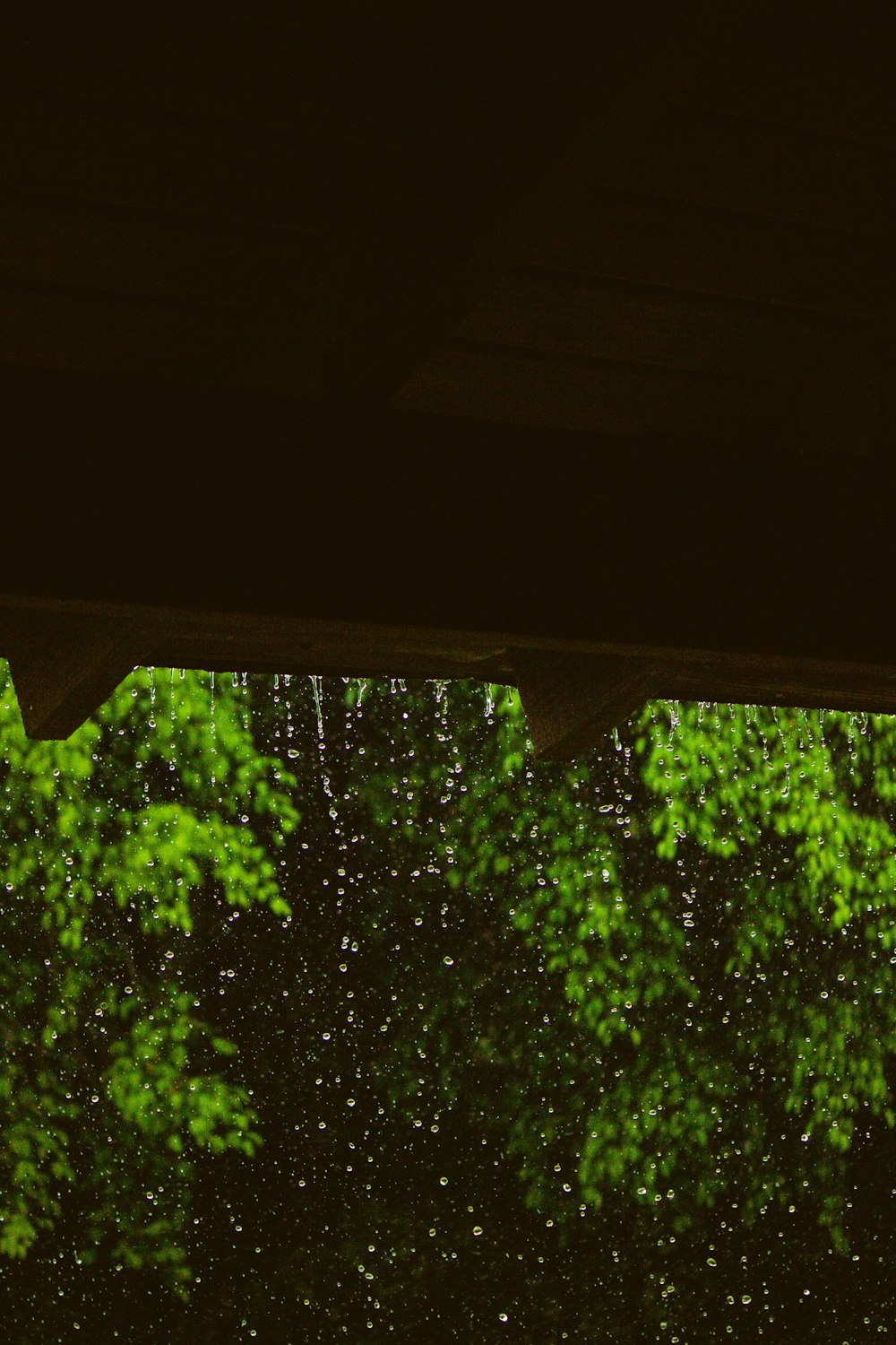 a view of trees through a window of a building