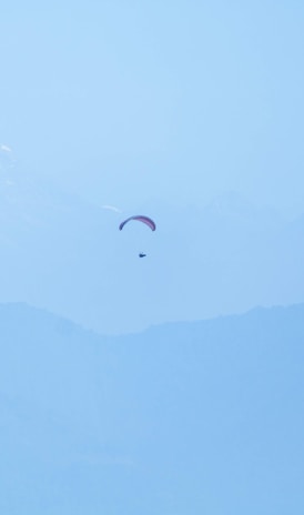 a couple of kites that are flying in the sky